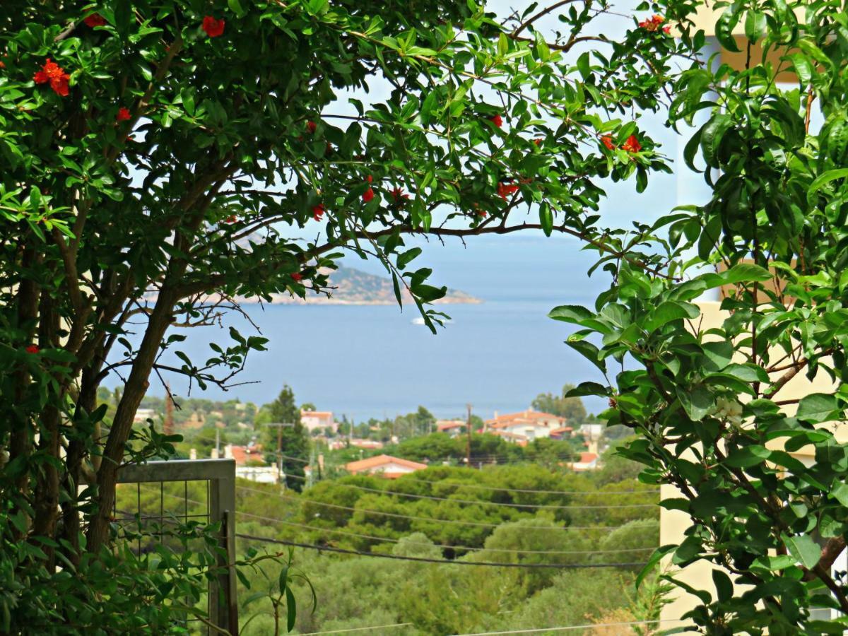 Thimari Sports & Spa With Private Pool And Jacuzzi Cap Cap Sounion Extérieur photo